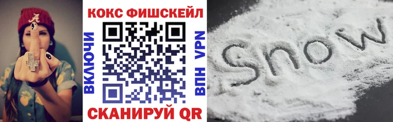 Кокаин FishScale  где купить наркоту  Зарайск 