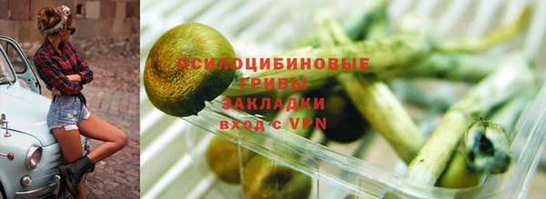 винт Новокубанск
