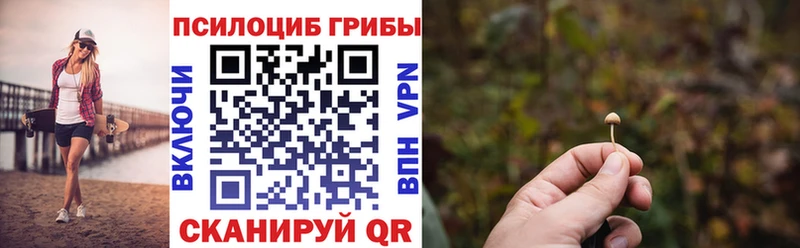 Псилоцибиновые грибы Psilocybe OMG маркетплейс Зарайск